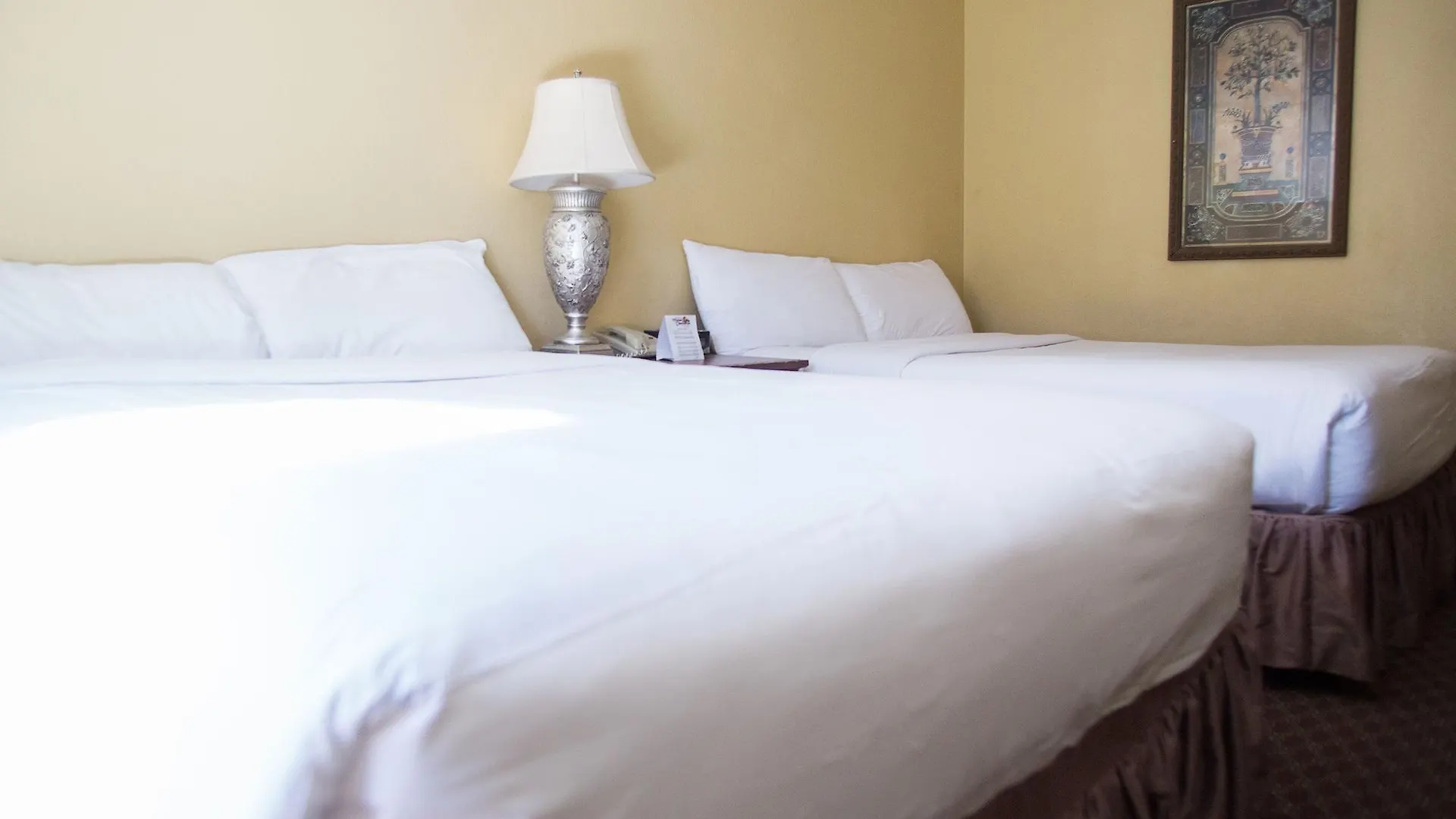 The Resort On Mount Charleston United States