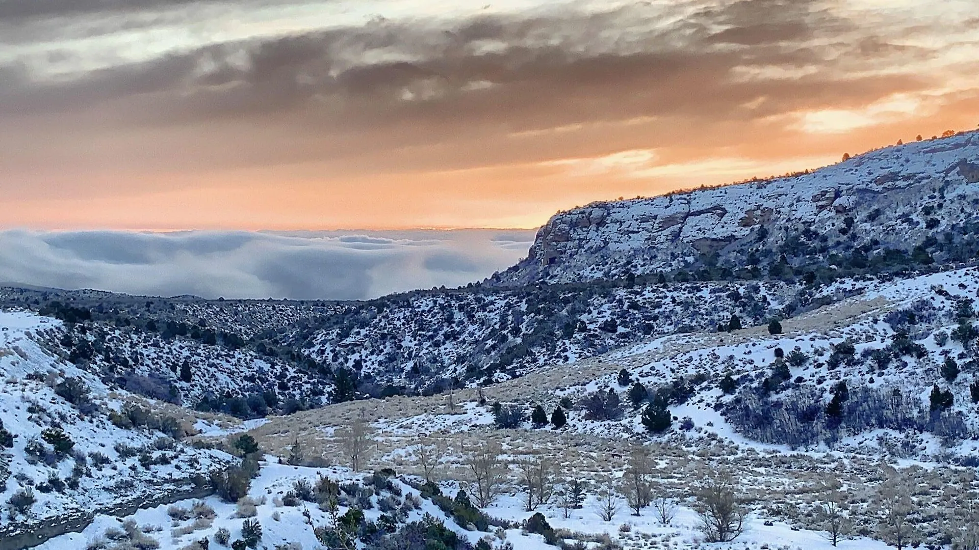 The Resort On Mount Charleston