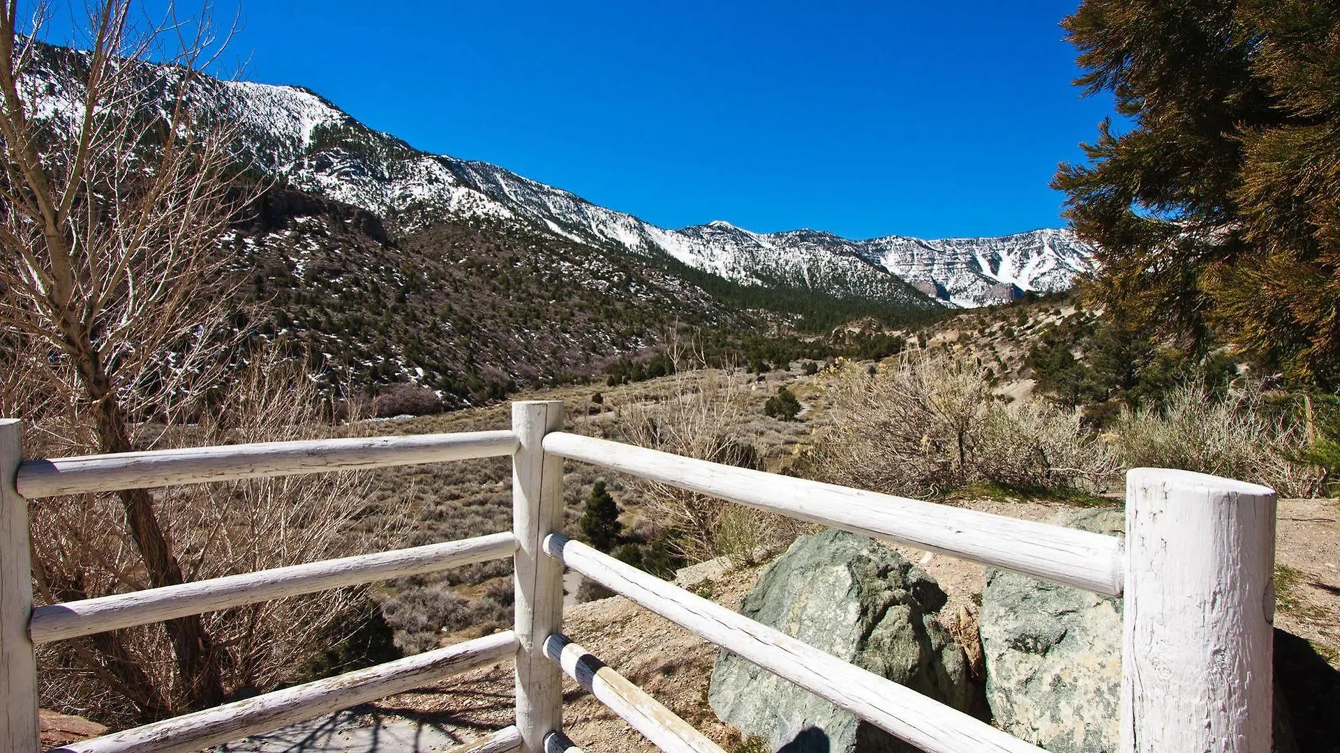 The Resort On Mount Charleston