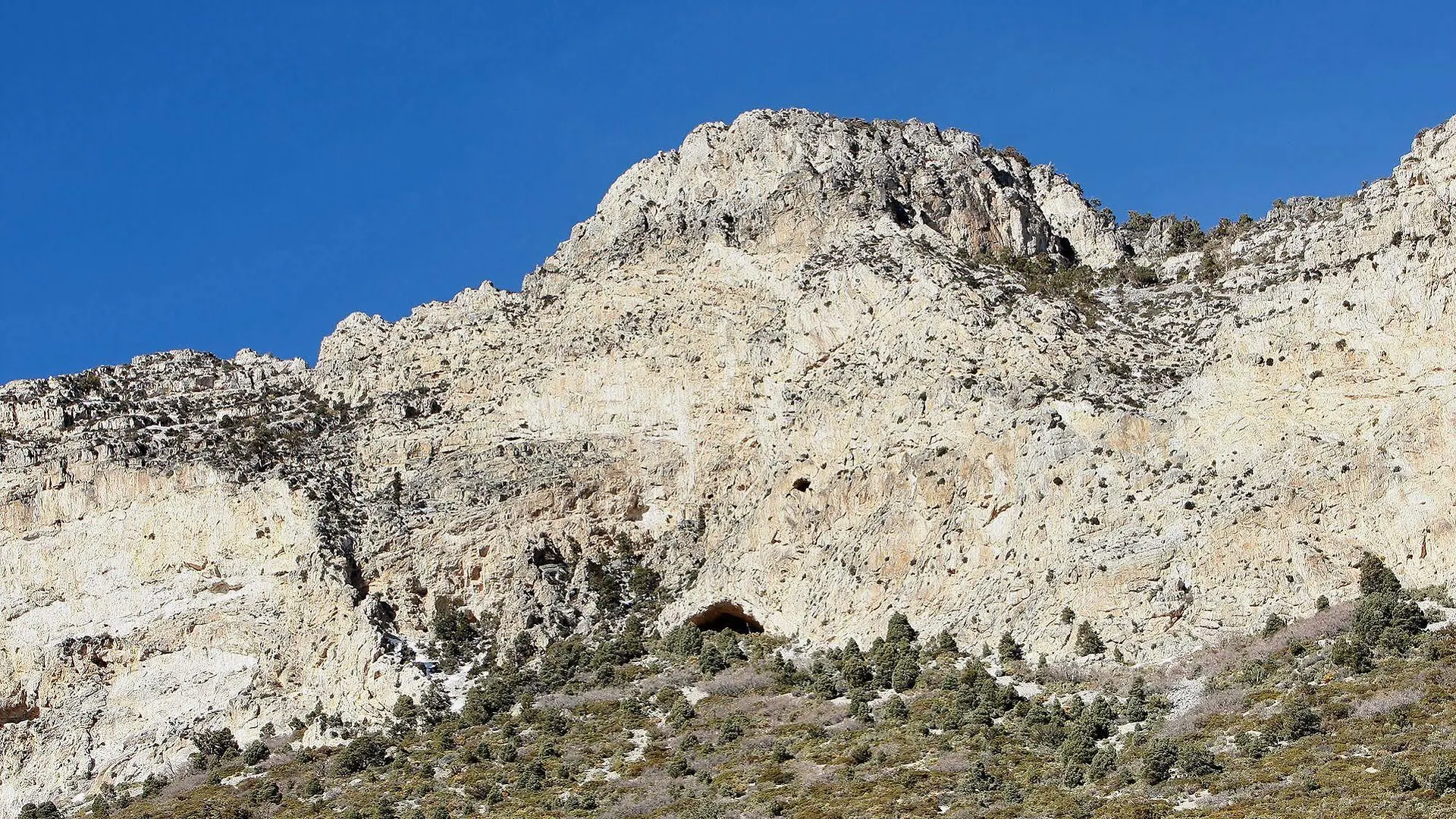 The Resort On Mount Charleston
